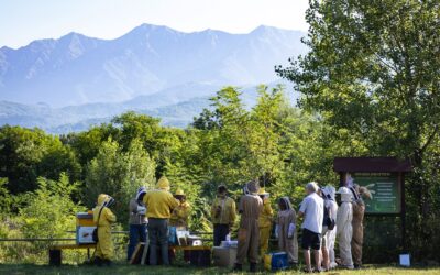 Iscrizioni aperte per i corsi di apicoltura base 2027 di Toscana Miele